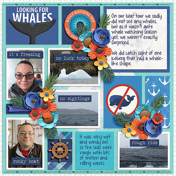 Looking for Whales