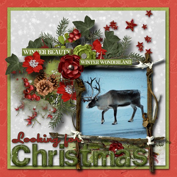 Looking_for_Christmas