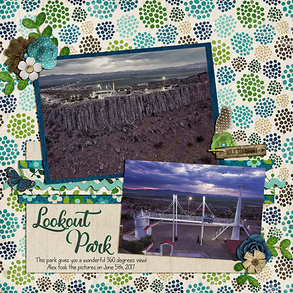 Lookout_part_web