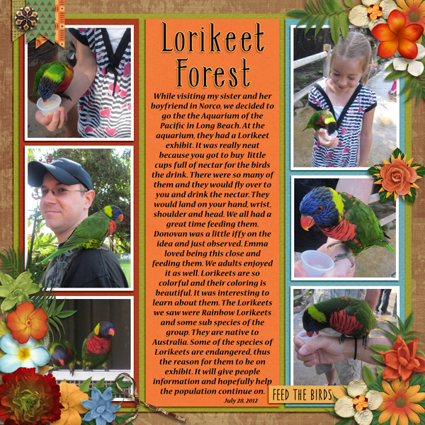 Lorikeet pg1