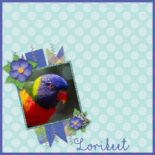 Lorikeet