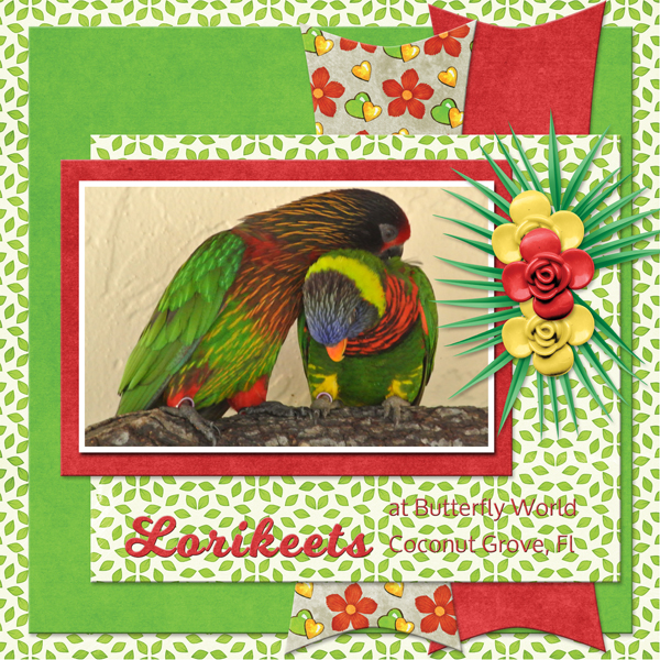 Lorikeets at Butterfly World