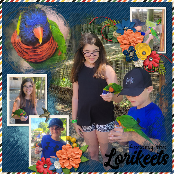 Lorrikeets