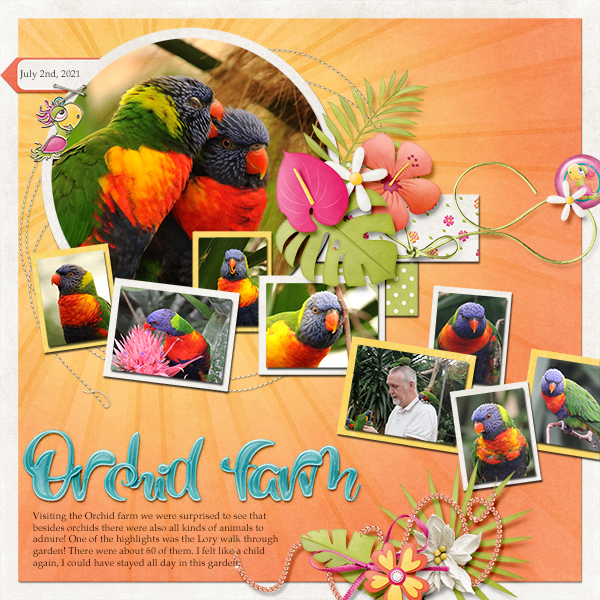Lory garden