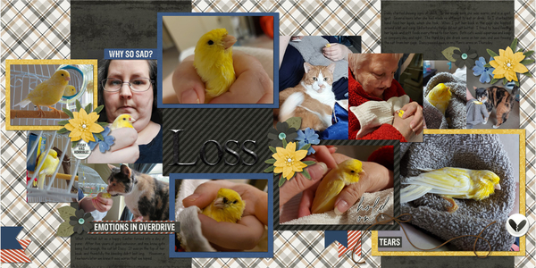 Loss
