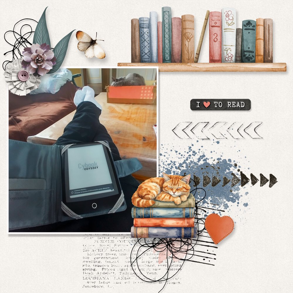 Lost in a good book