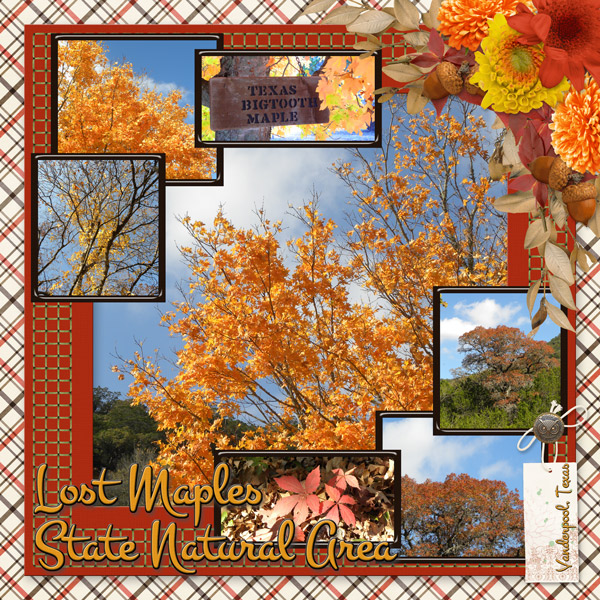 Lost Maples State Natural Area