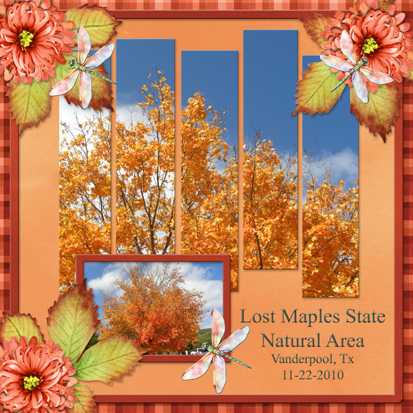 Lost Maples State Natural Area