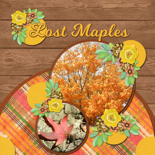 Lost Maples