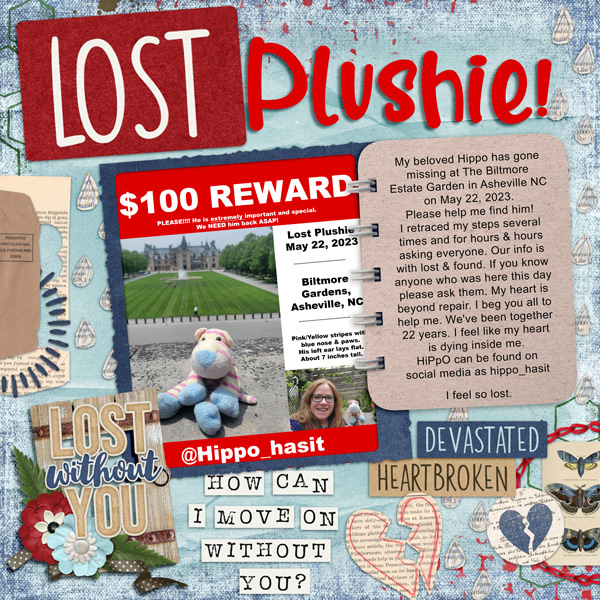 Lost Plushie!!!