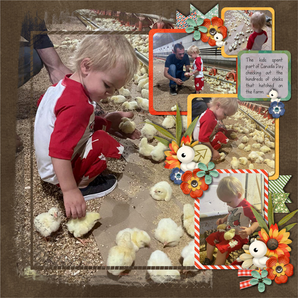 Lots and Lots of Chicks Rt. Pg