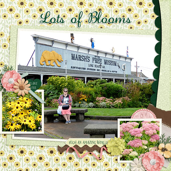 Lots of Blooms