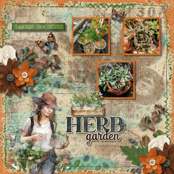 Lots of Herbs
