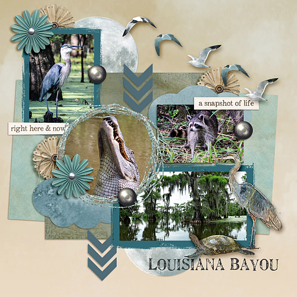Louisiana Bayou