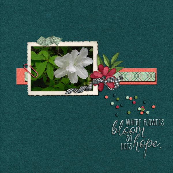 Louisiana Blooms