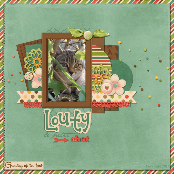 Louty le petit chat