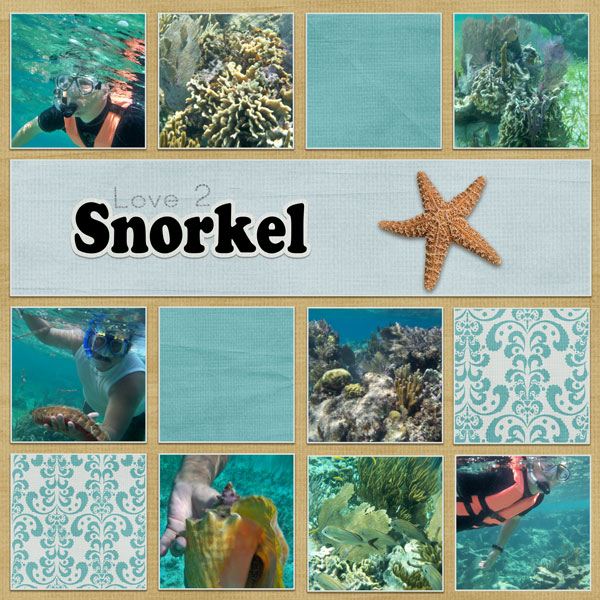 Love 2 Snorkel