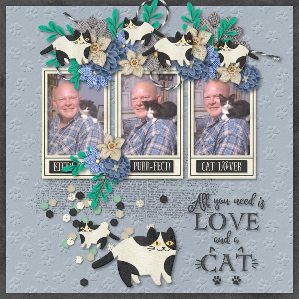 Love and a Cat