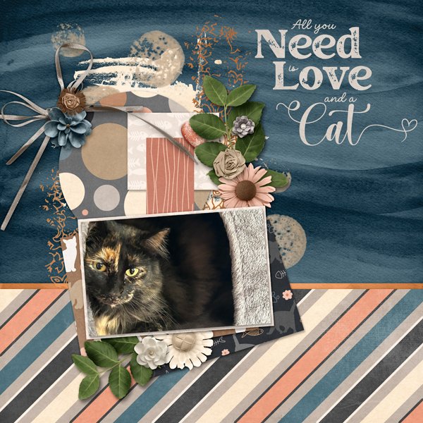 Love and a Cat