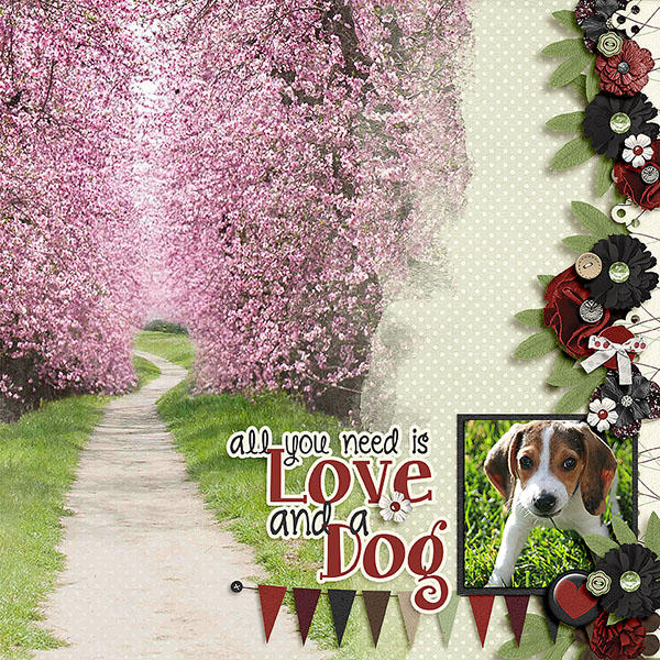 Love and a Dog