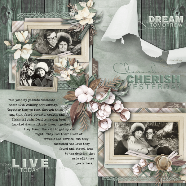 Love and Cherish