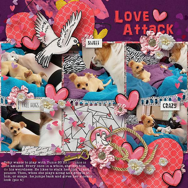 Love Attack