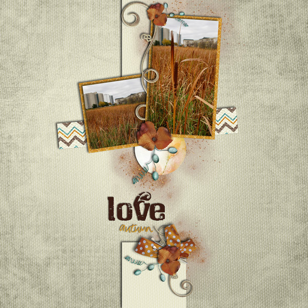 Love autumn