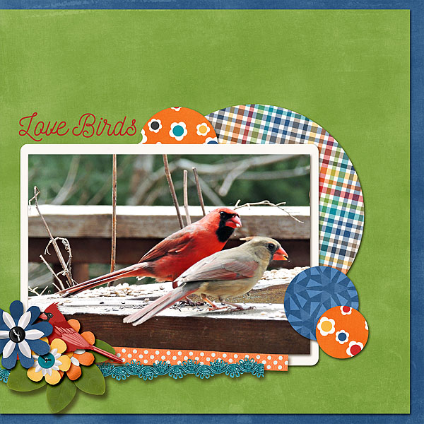 Love Birds