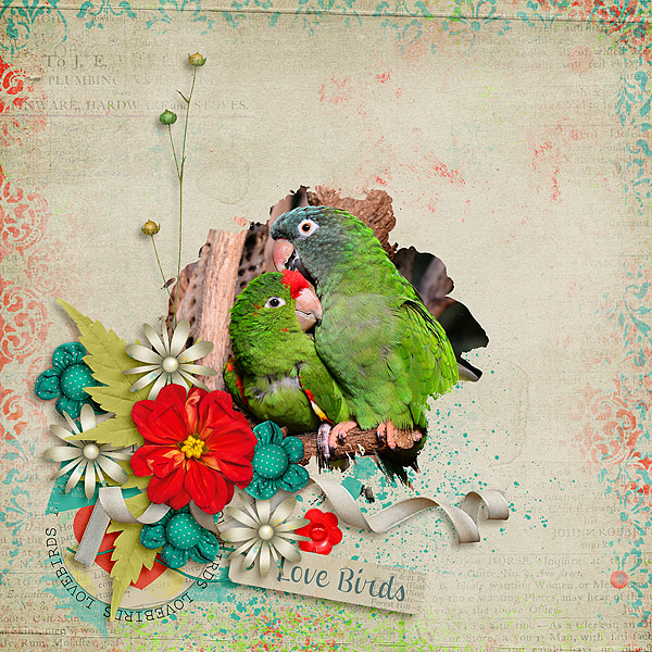 Love Birds