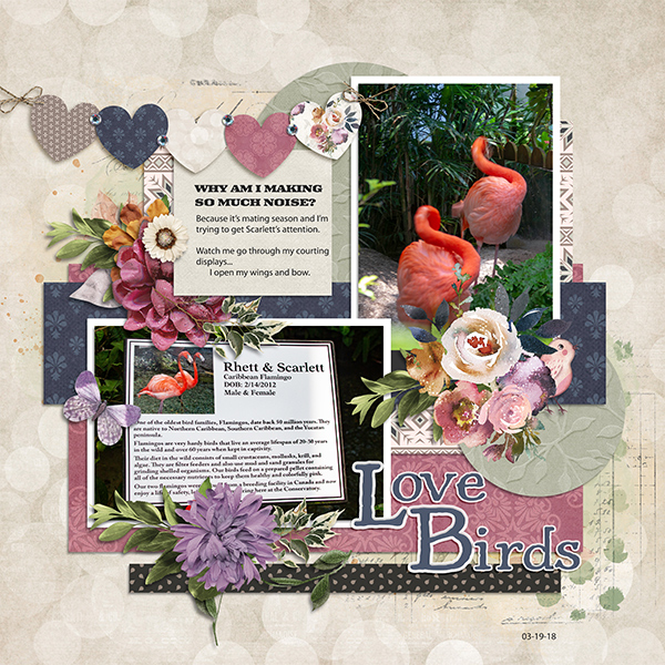 Love Birds