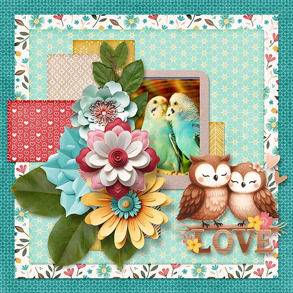 Love Birds