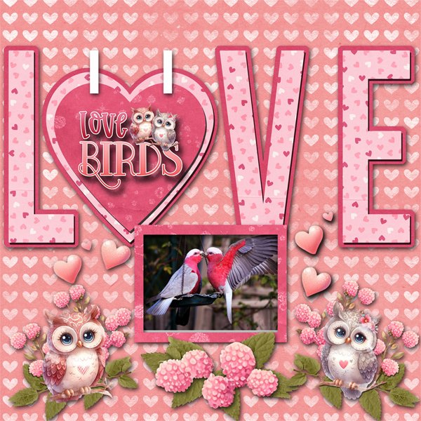 Love Birds