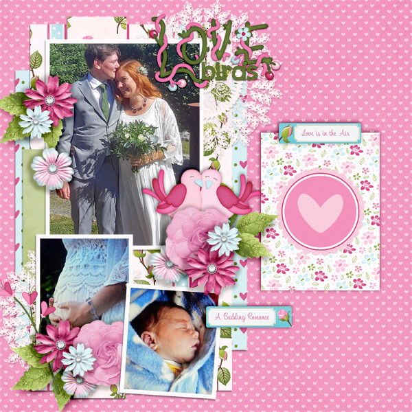 Love-birds4