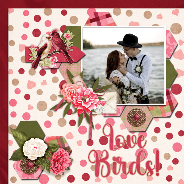 Love-birds5