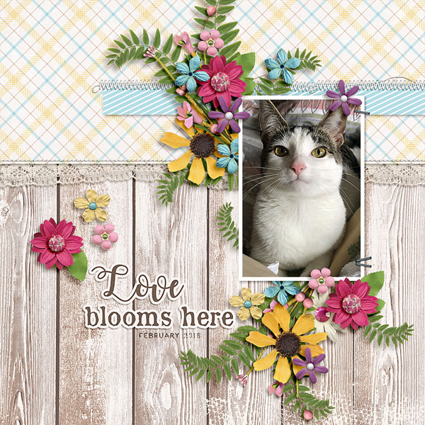 love blooms here