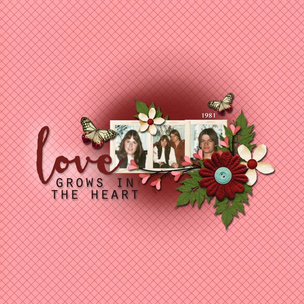 Love Blooms