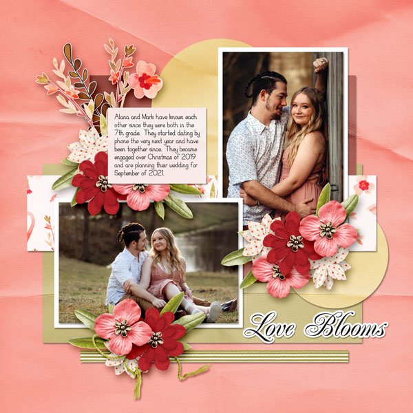 Love Blooms