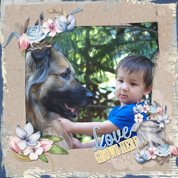 Love Buddies