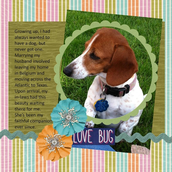 Love Bug