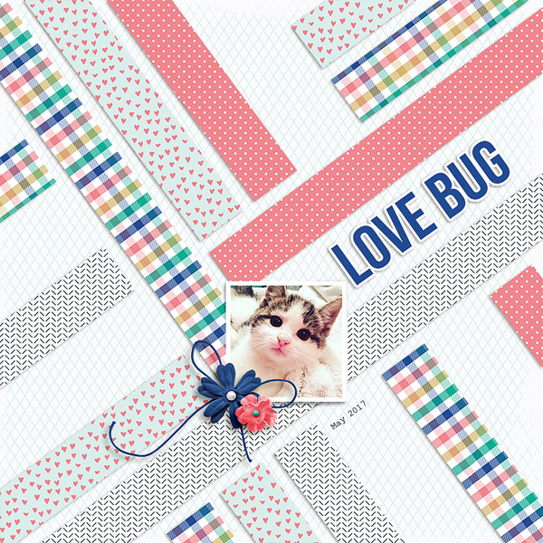 love bug