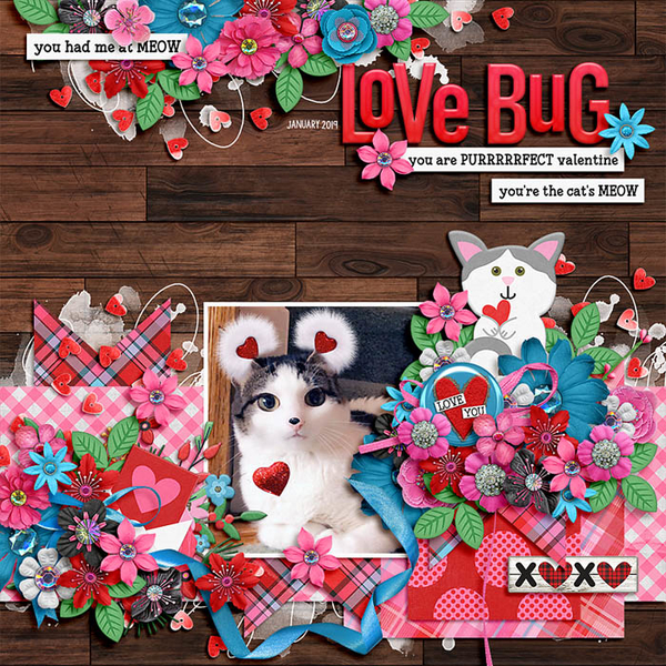 love bug