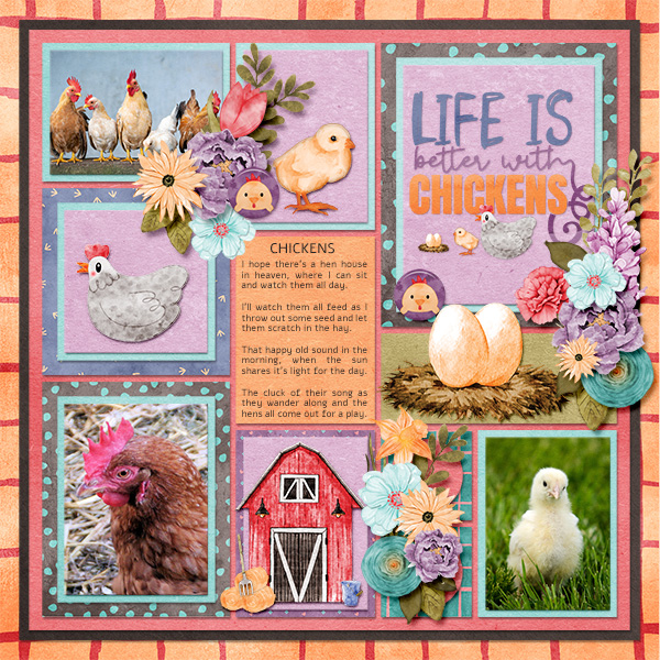 Love chickens