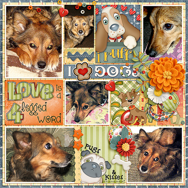 Love Dogs