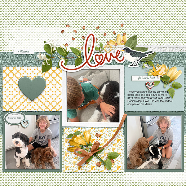 Love Dogs