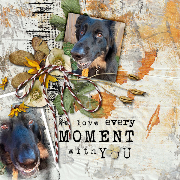 Love Every Moment with You
