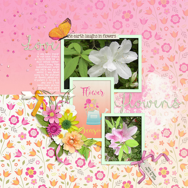 Love Flowers