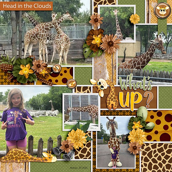 Love Giraffes!
