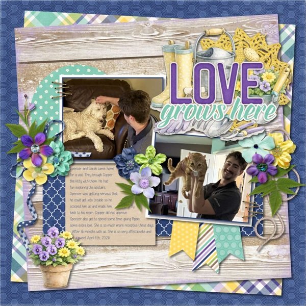 Love grows here.jpg