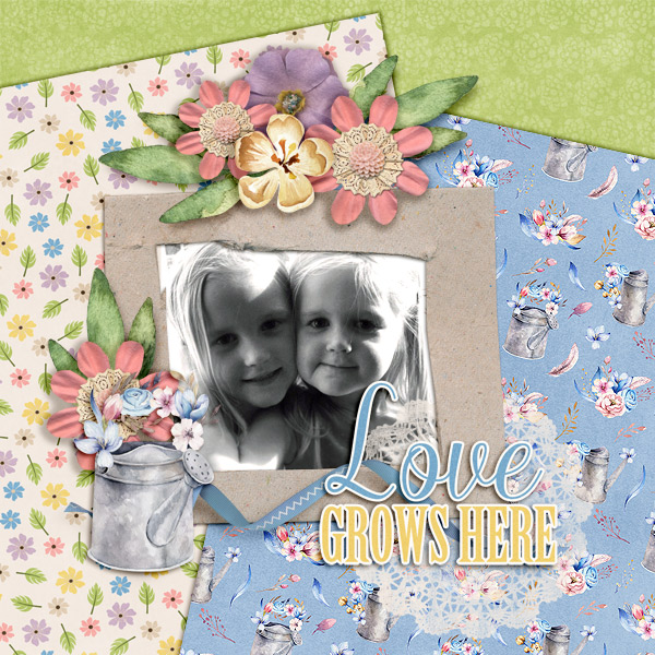 Love-grows-here