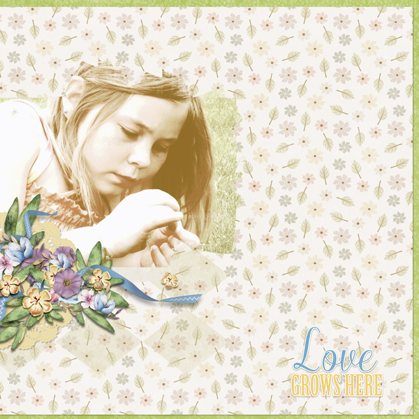 Love Grows Here